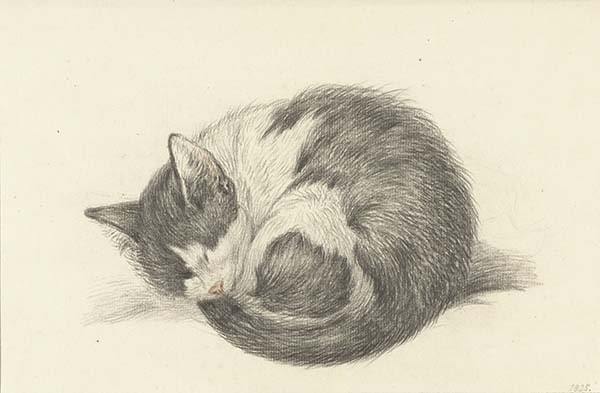 丸まって眠っている猫】選べるサイズとフレーム アートポスター