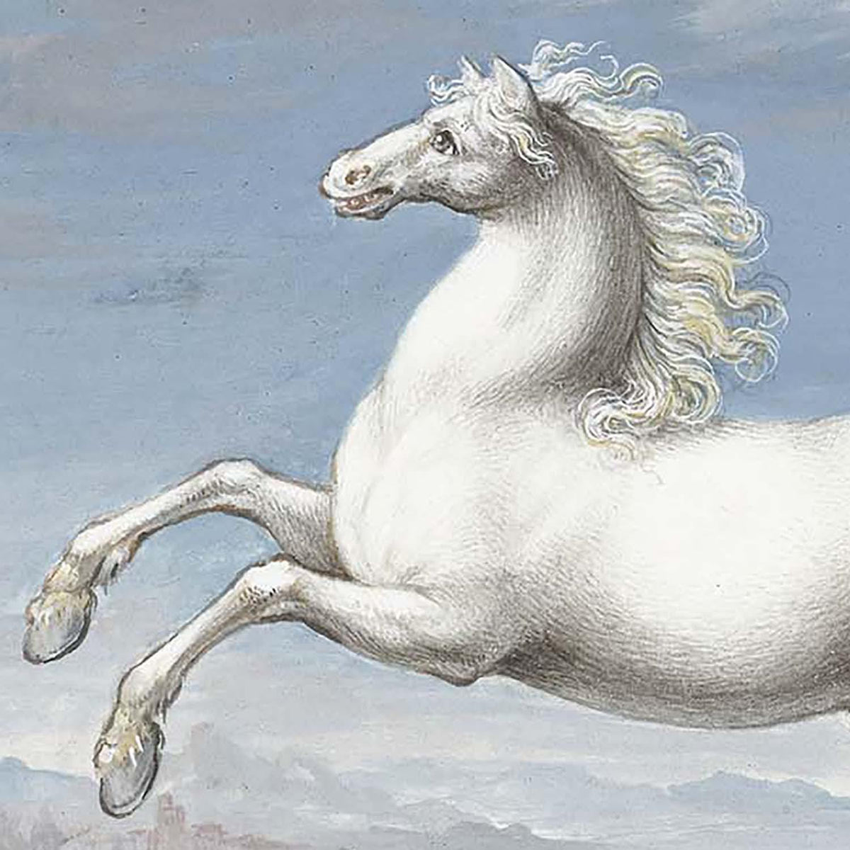 JORIS001_detail_1200x1200.jpg? JORIS001_detail_1200x1200.jpg?