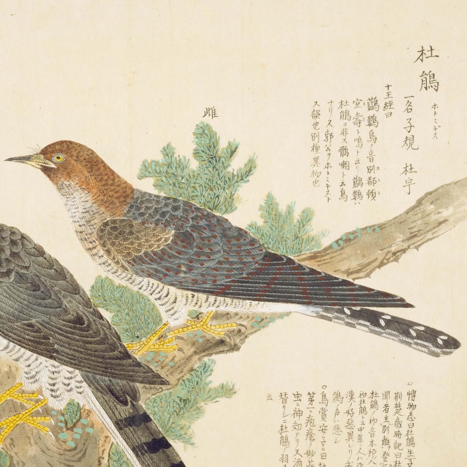 BAIEN001detail2.jpg?v=1623753278