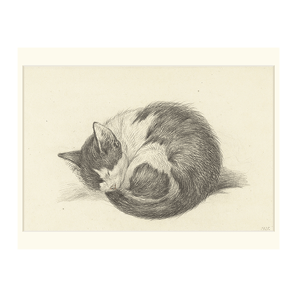 丸まって眠っている猫】選べるサイズとフレーム アートポスター