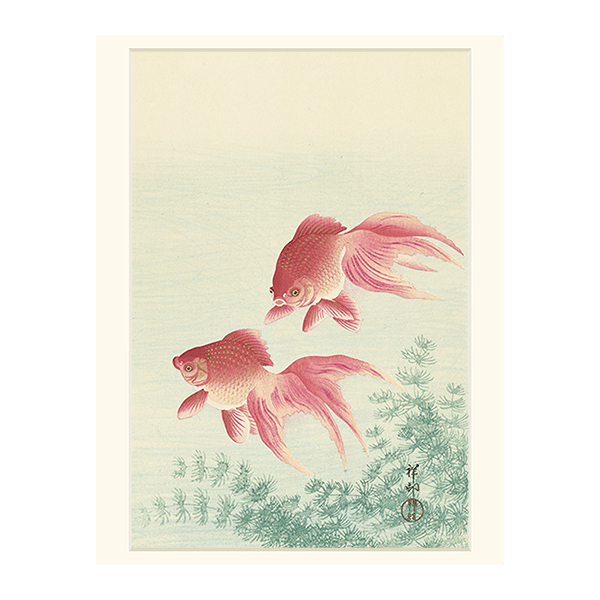 小原古邨「睡蓮に二匹の金魚」本物木版画 小原 古邨 二匹の金魚】選べるサイズとフレーム アートポスター