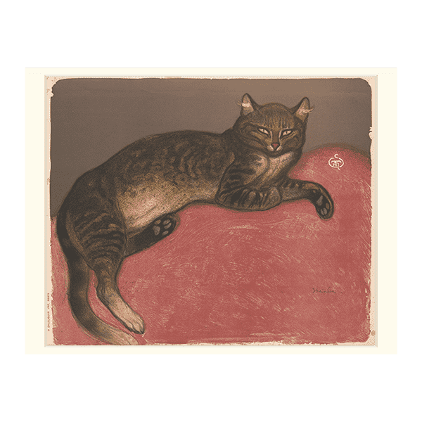 STEI003_mat_optimized.png?v=